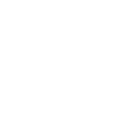 Vida Gente e Gestão